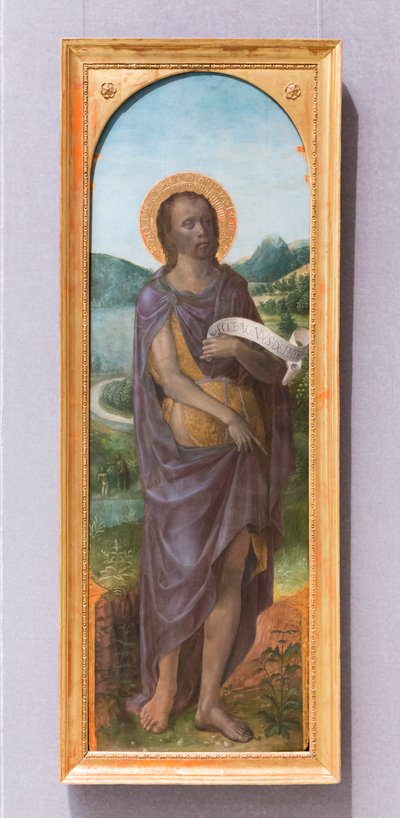 Święty Jan Chrzciciel autorstwa Vincenzo Foppa