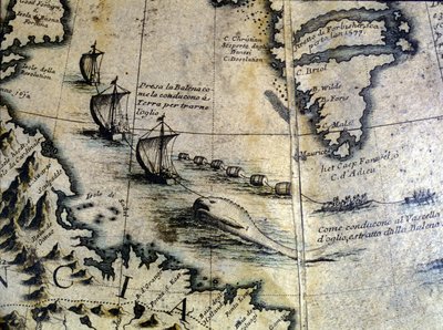 Wielorybnictwo: wieloryb jest sprowadzany na brzeg w celu wydobycia ropy. Z globu Coronellego. XVII wiek. autorstwa Vincenzo Maria Coronelli
