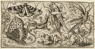 Grupa owadów i zwierząt na równinnym terenie z trawą..., 1530 - 1562. autorstwa Virgil Solis