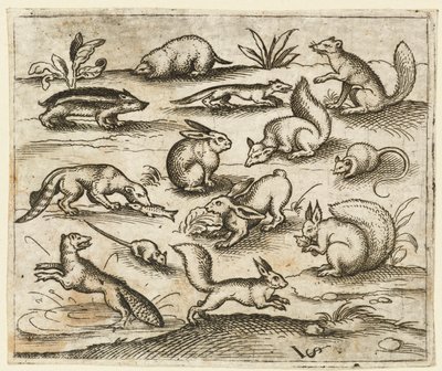 Grupa małych leśnych stworzeń jedzących i biegających wokół stawu, w tym mysz..., 1557. autorstwa Virgil Solis