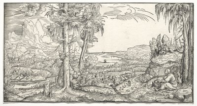 Św. Jan na wyspie Patmos autorstwa Virgil Solis