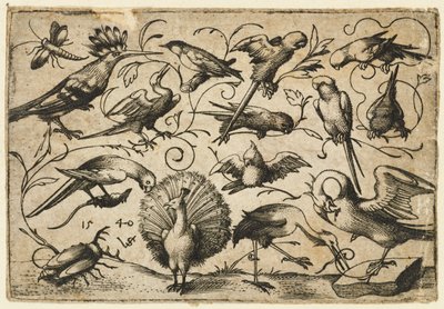 Dziesięć ptaków na małych wąsach liściowych z bocianem owijającym wąs wokół nogi pelikana..., 1540. autorstwa Virgil Solis