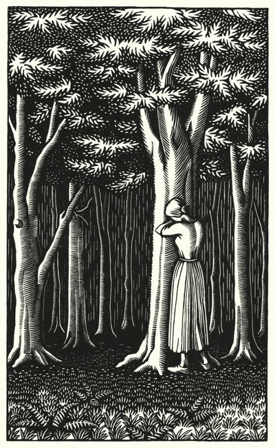 Ilustracja do Tess Of The D’Urbervilles autorstwa Thomasa Hardy