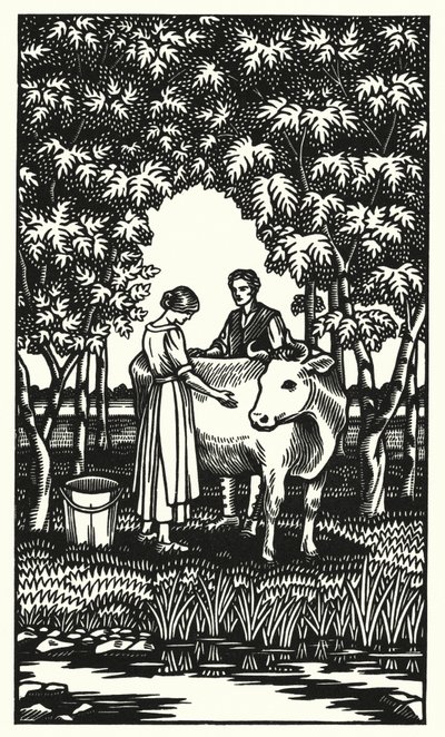 Ilustracja do Tess Of The D’Urbervilles autorstwa Thomasa Hardy
