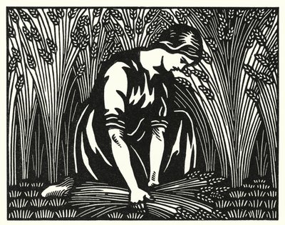 Ilustracja do Tess Of The D’Urbervilles autorstwa Thomasa Hardy