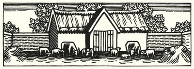 Ilustracja do Tess Of The D’Urbervilles autorstwa Thomasa Hardy