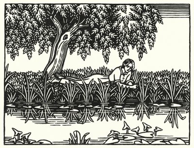 Ilustracja do Tess Of The D’Urbervilles autorstwa Thomasa Hardy