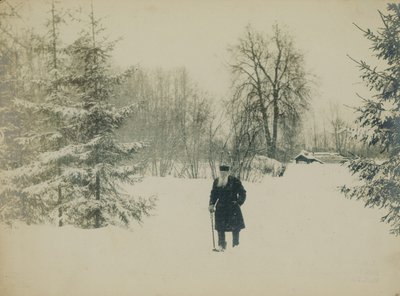 Hrabia Lew Nikołajewicz Tołstoj idzie. autorstwa Vladimir Grigorievich Chertkov