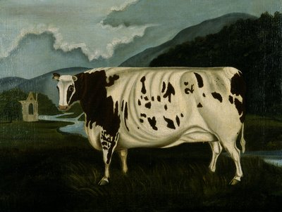 Słynna Jałówka Craven (olej na płótnie) autorstwa W. D. Fryer