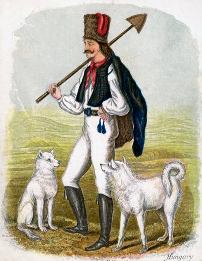 Węgier z psami, 1809. autorstwa W. Dickes