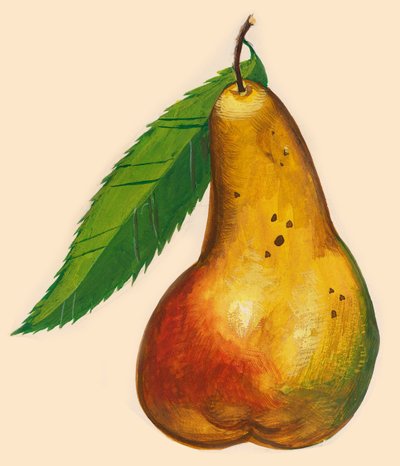 Gruszka z liściem, rysunek autorstwa John Ward Dunsmore