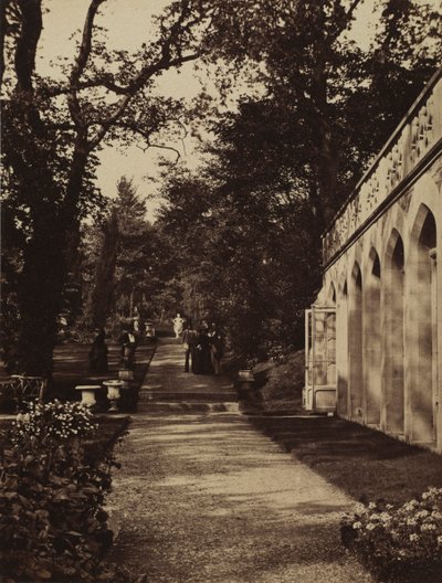 Oranżeria i ogród kwiatowy w Singleton, Glamorganshire autorstwa W. Graham Vivian