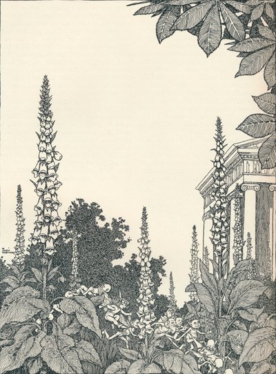 Ilustracja do Snu nocy letniej, 1914, 1925. autorstwa William Heath Robinson