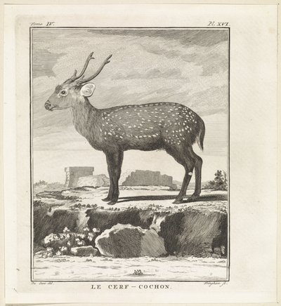 Hert Le Cerf-Cochon (tytuł na obiekcie) autorstwa W. Tringham