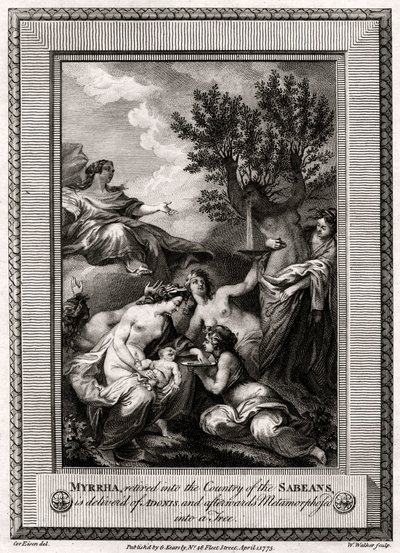Mirra, na emeryturze, do Kraju Sabejczyków, rodzi Adonisa..., 1775 autorstwa W. Walker