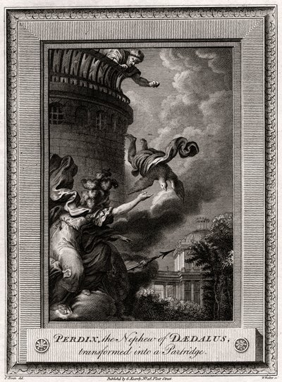 Perdix, bratanek Dedala, przemieniony w kuropatwę, 1774 autorstwa W. Walker