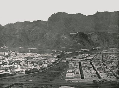 Widok ogólny przedstawiający targ wielbłądów, Aden, 1895. autorstwa W and S Ltd