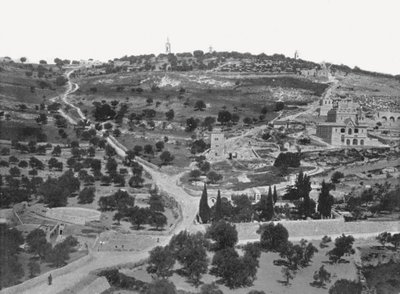 Góra Oliwna, Jerozolima, Palestyna, 1895. autorstwa W and S Ltd