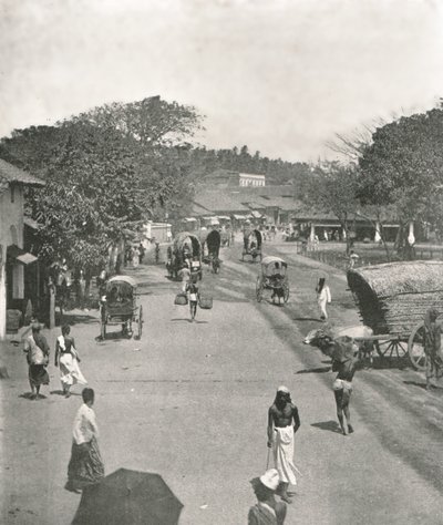 Scena uliczna w pobliżu ratusza, Kolombo, Cejlon, 1895. autorstwa W and S Ltd