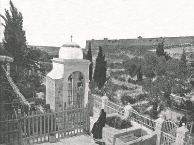 Ogród Getsemani, Jerozolima, Palestyna, 1895. autorstwa W and S Ltd