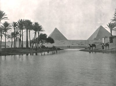 Piramidy i Nil, Gizeh, Egipt, 1895. autorstwa W and S Ltd