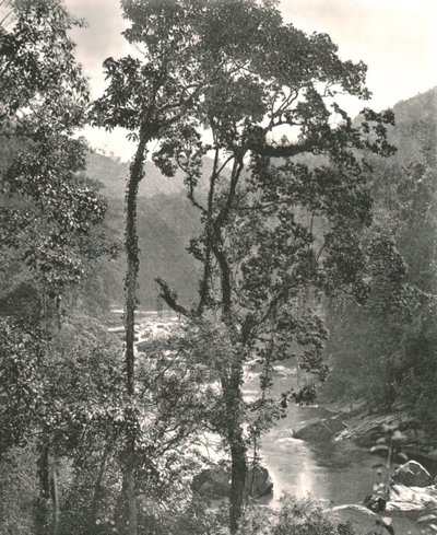 Widok na rzekę Kelani, Kurunegala, Cejlon, 1895. autorstwa W and S Ltd