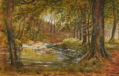 Leśna Polana ( akwarela) autorstwa Waller Hugh Paton
