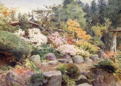 Rock Garden w Nikko, Cosmos i Maple autorstwa Walter Frederick Roofe Tyndale