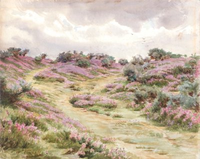Bell Heather on Setley Plain (akwarela) autorstwa Walter Frederick Roofe Tyndale