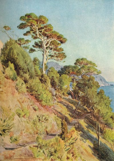 W Villa Piuma, Sestri Levante, c1910, 1912 autorstwa Walter Frederick Roofe Tyndale