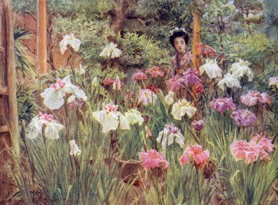 Próbki Irysy autorstwa Walter Frederick Roofe Tyndale