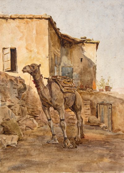 Wielbłąd na uwięzi (akwarela) autorstwa Walter Frederick Roofe Tyndale