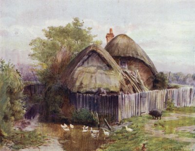 The New Forest: Chata w Bartley (kolor lito) autorstwa Walter Frederick Roofe Tyndale