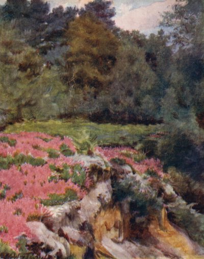 The New Forest: Gravel Pit Head w Royden (kolor lito) autorstwa Walter Frederick Roofe Tyndale