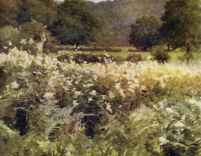 The New Forest: Meadow Sweet niedaleko Royden (kolor lito) autorstwa Walter Frederick Roofe Tyndale