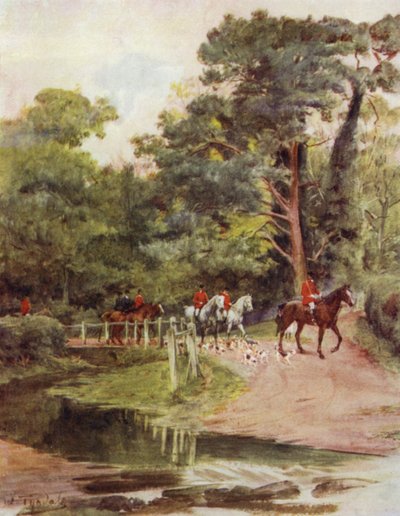 The New Forest: Minstead Brook (kolor lito) autorstwa Walter Frederick Roofe Tyndale
