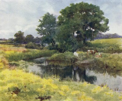 The New Forest: Na rzece Lymington (kolor lito) autorstwa Walter Frederick Roofe Tyndale