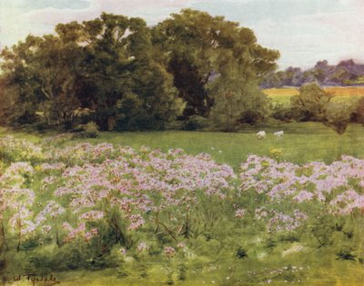 The New Forest: Riversdale, Boldre (kolor lito) autorstwa Walter Frederick Roofe Tyndale