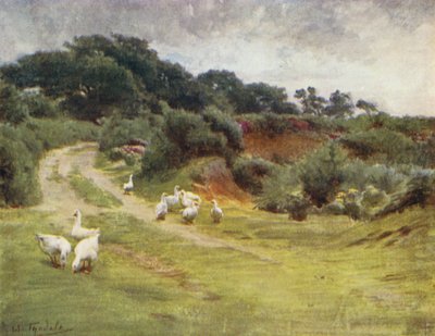 The New Forest: Royden Common, niedaleko Brokenhurst (kolor lito) autorstwa Walter Frederick Roofe Tyndale