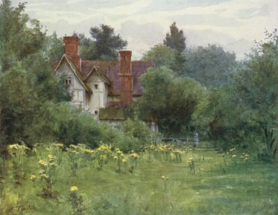 The New Forest: The Mill House, Brokenhurst (kolor lito) autorstwa Walter Frederick Roofe Tyndale