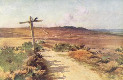 Wessex: Bere Heath jesienią, z Gallows Hill w oddali (kolorowa litografia) autorstwa Walter Frederick Roofe Tyndale