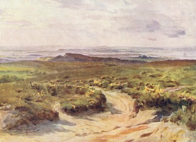 Wessex: Studland Heath, port Poole w oddali (kolorowa litografia) autorstwa Walter Frederick Roofe Tyndale