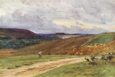 Wessex: Broadstone Golf Links, niedaleko Poole (kolorowa litografia) autorstwa Walter Frederick Roofe Tyndale
