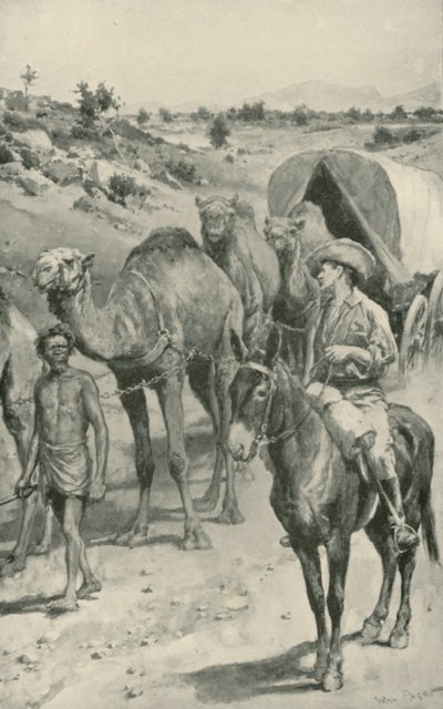 Karawana wielbłądów, Australia Zachodnia autorstwa Walter Stanley Paget