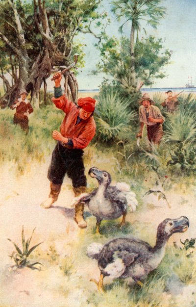 Holenderscy marynarze ścigający dodo (kolorowa litografia) autorstwa Walter Stanley Paget