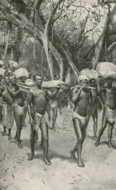Zwolennicy dr. Livingstone