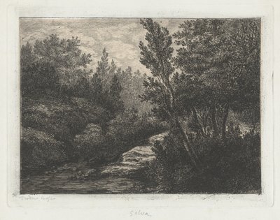 Selva (Lasy) autorstwa Walter Teodoro Bosio