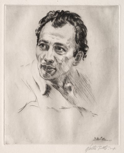 Henri Caro-Delvaille, nr 2 autorstwa Walter Tittle