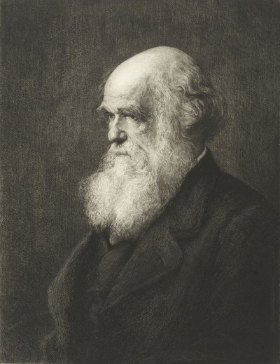 Karol Robert Darwin (grafika) autorstwa Walter William (after) Ouless