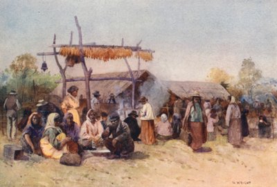 Nowa Zelandia: Native Gathering (kolorowa litografia) autorstwa Walter Wright